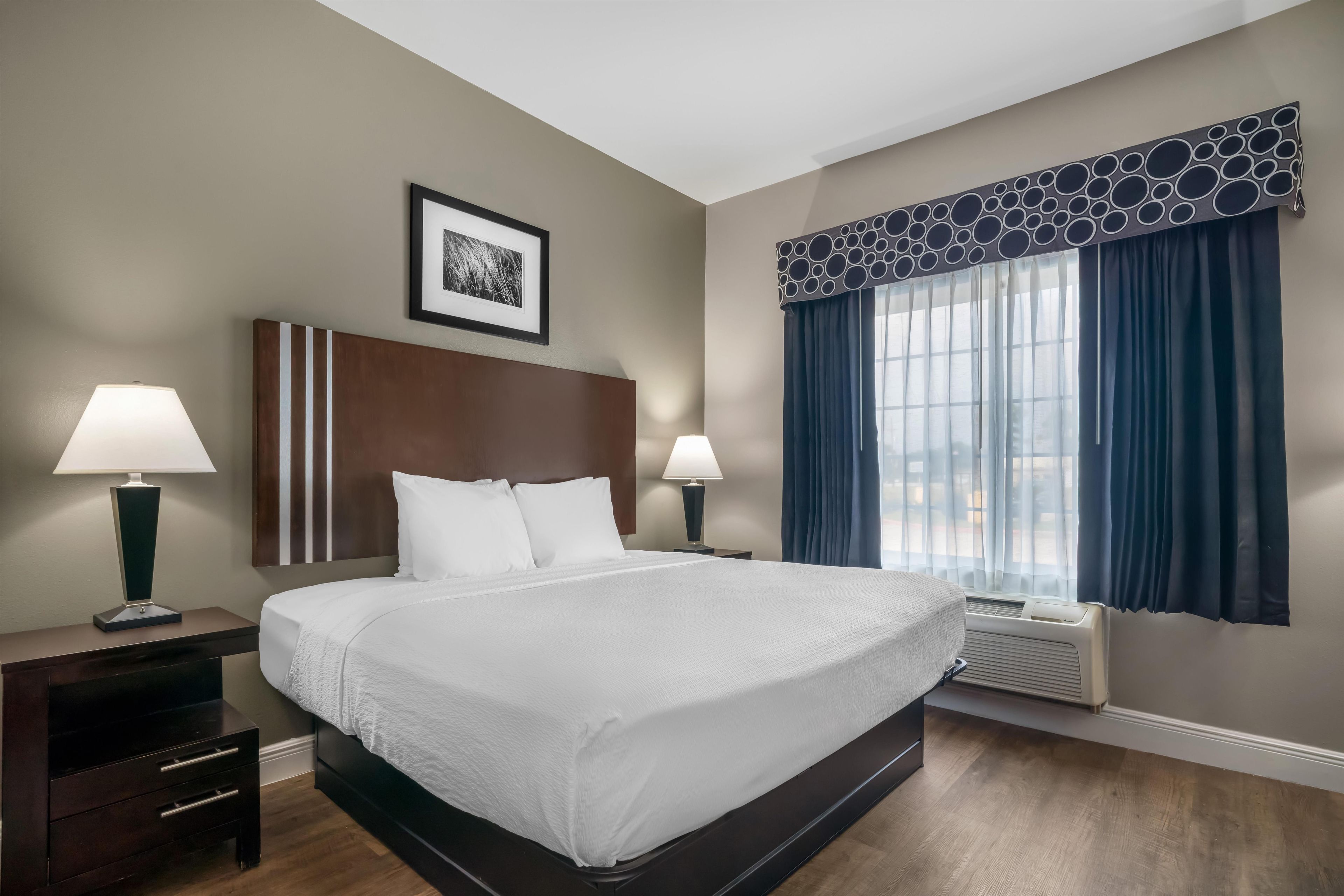 Suite, 1 King Bed, Non Smoking, Refrigerator & Microwave (with Sofabed)
