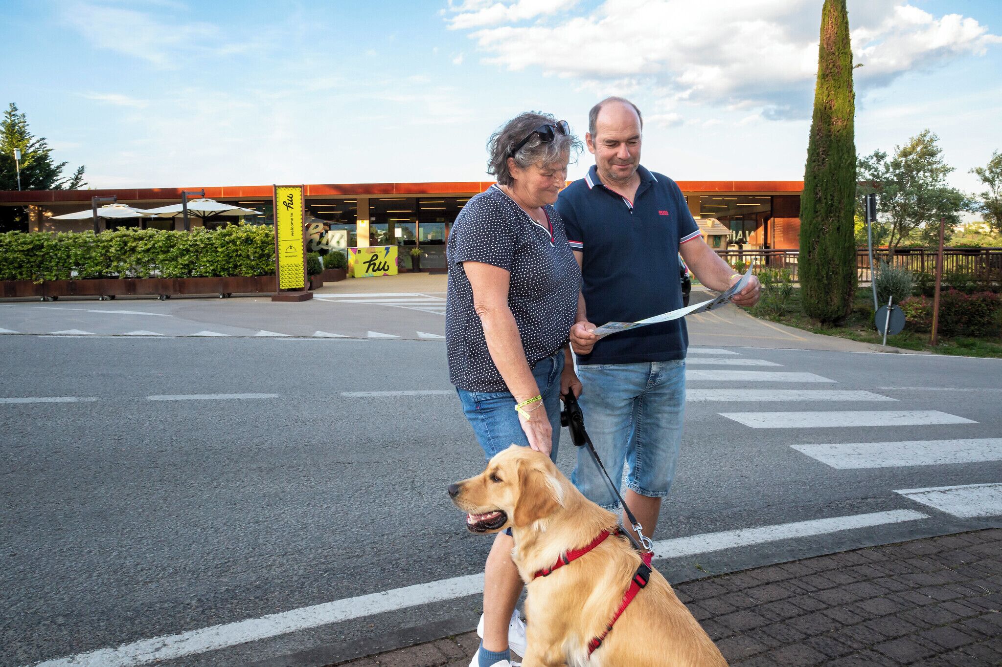Un paso de peatones con un perro con correa.