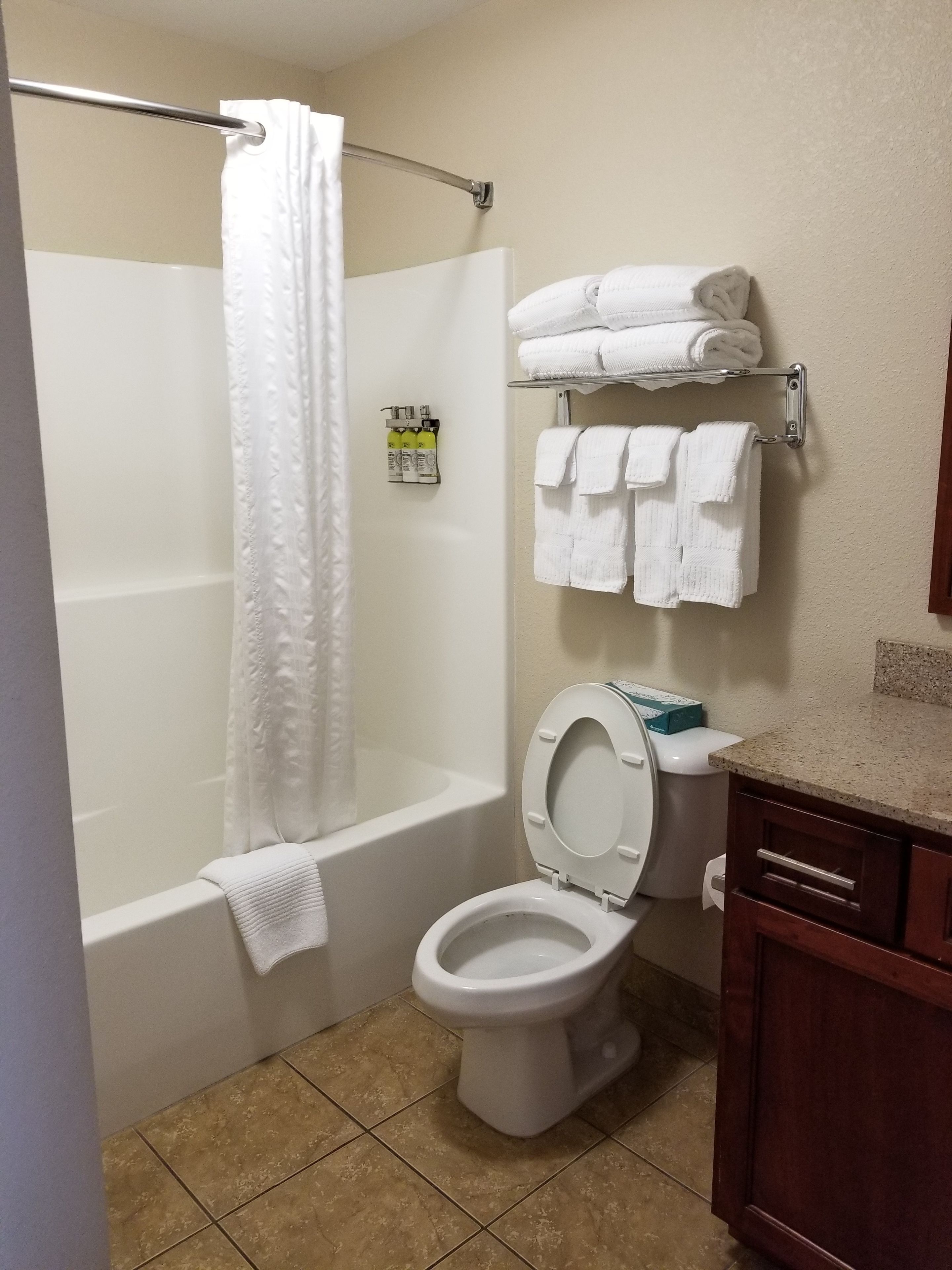 A bathroom with a shower, toilet, and towel rack.