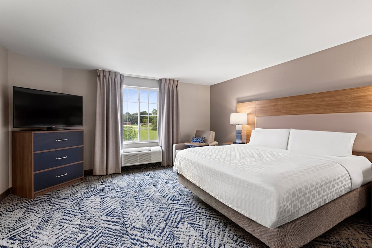 A hotel room with a large bed, a flat-screen TV, a desk with a lamp, and a view of the outdoors through a window.