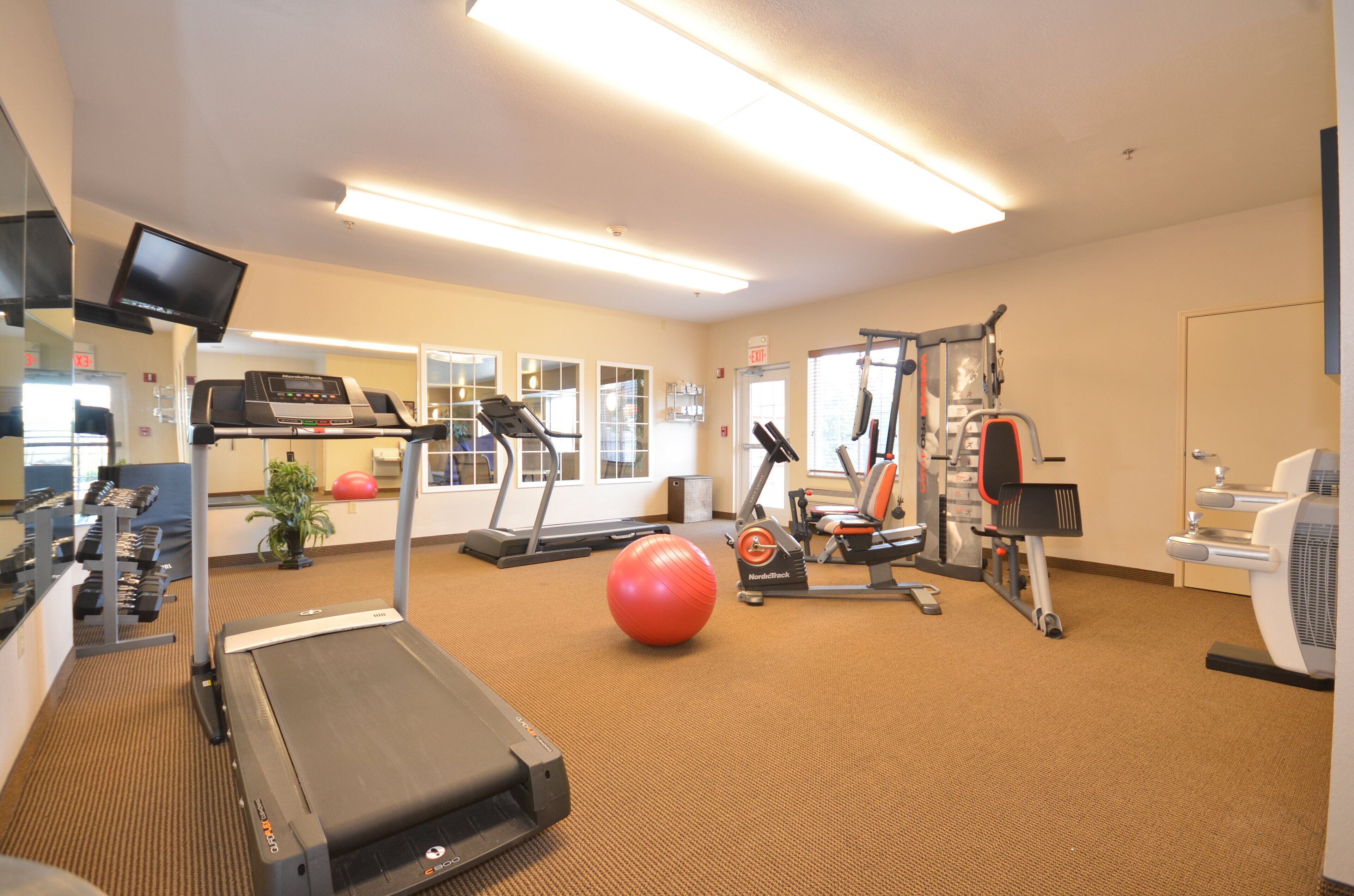 Un gimnasio con equipo cardiovascular, máquinas de pesas y un dispensador de agua.