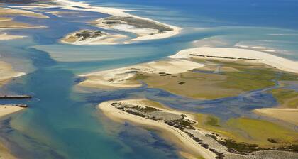 Real Marina Residence