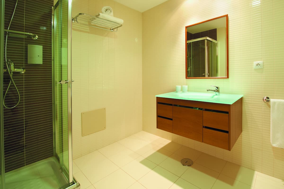 combined shower/bathtub, free toiletries, hair dryer, bidet