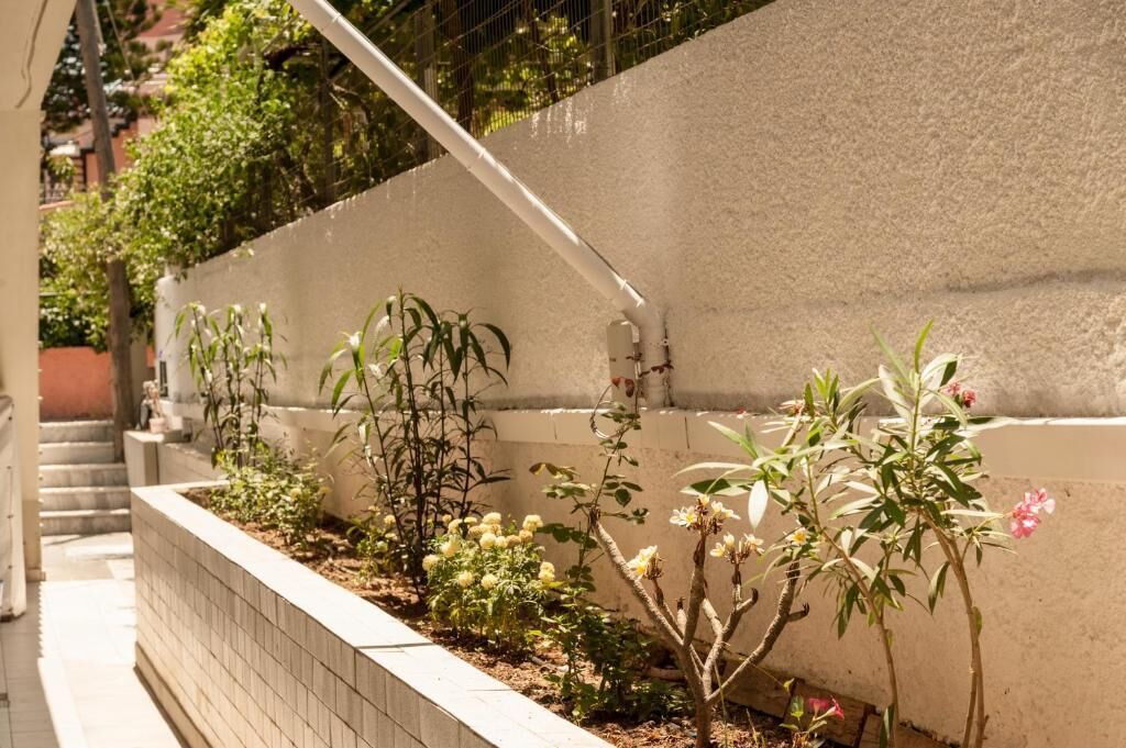 Un jardí estret amb diverses plantes i flors, delimitat per una paret blanca i una cornisa de maó.