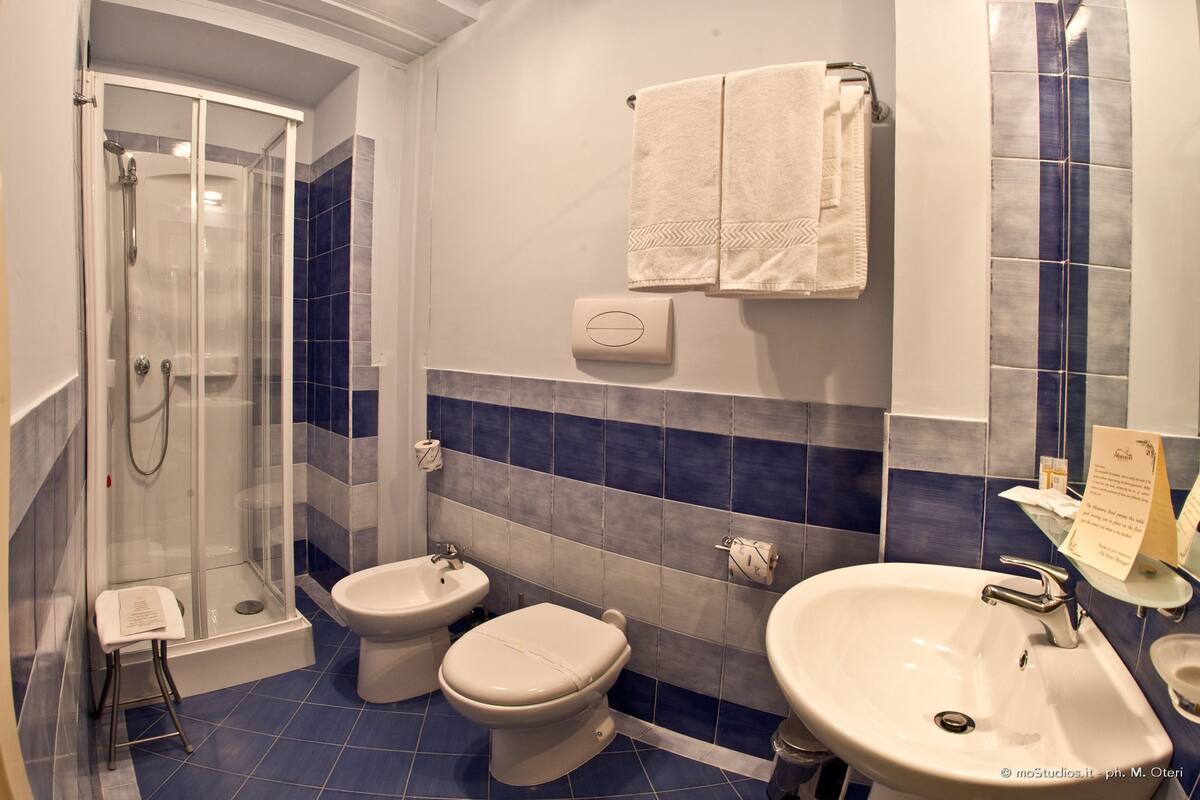 free toiletries, hair dryer, bidet, towels