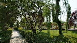 Un sendero serpentea por un jardín con varios árboles y arbustos.