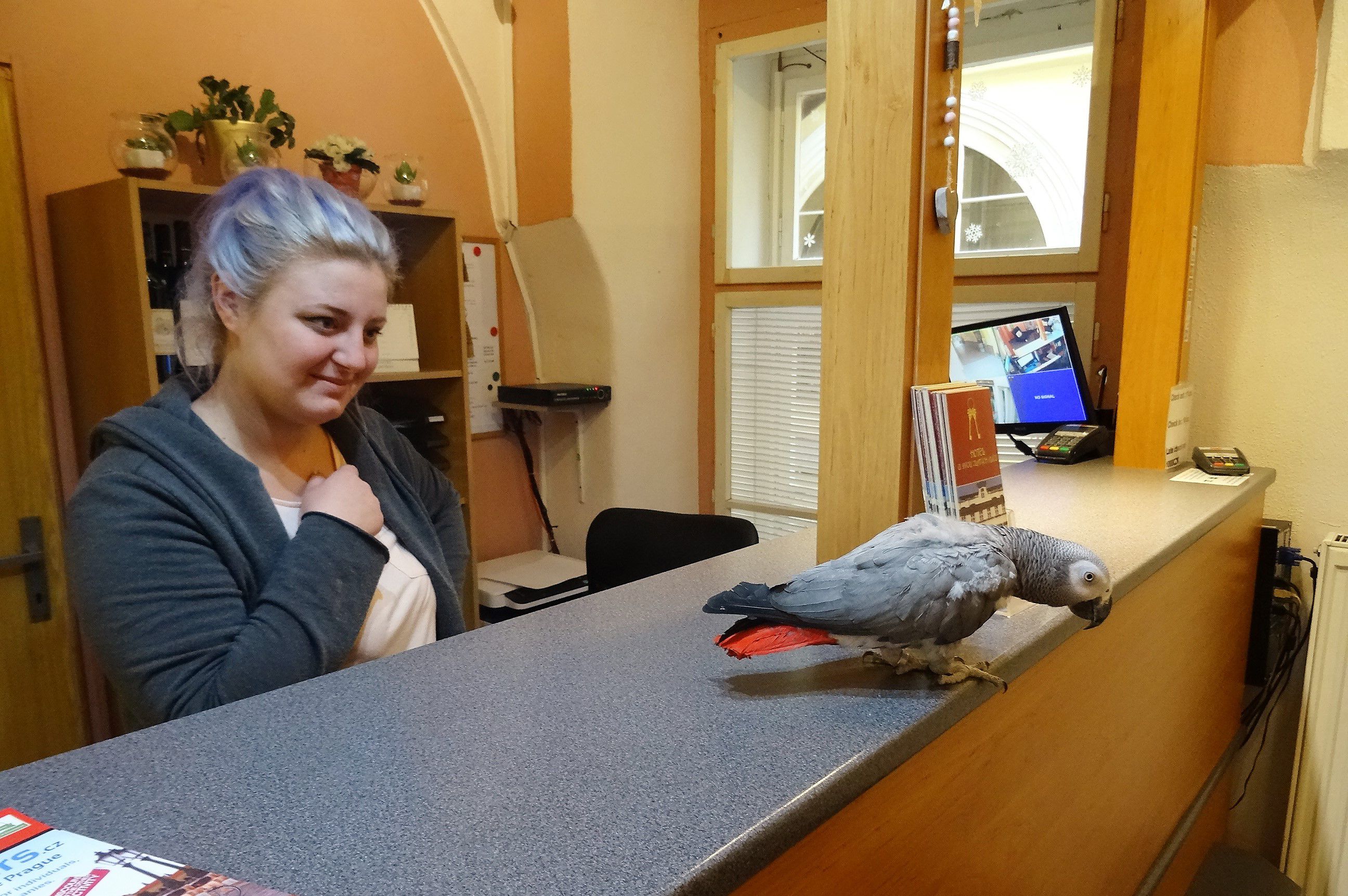 Foto - Hotel U dvou zlatých klíčů