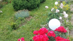 Garden - Galerija (Zagreb)