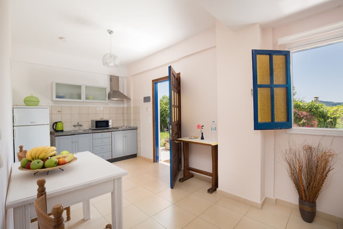 comfort apartment | private kitchen | stovetop, electric kettle