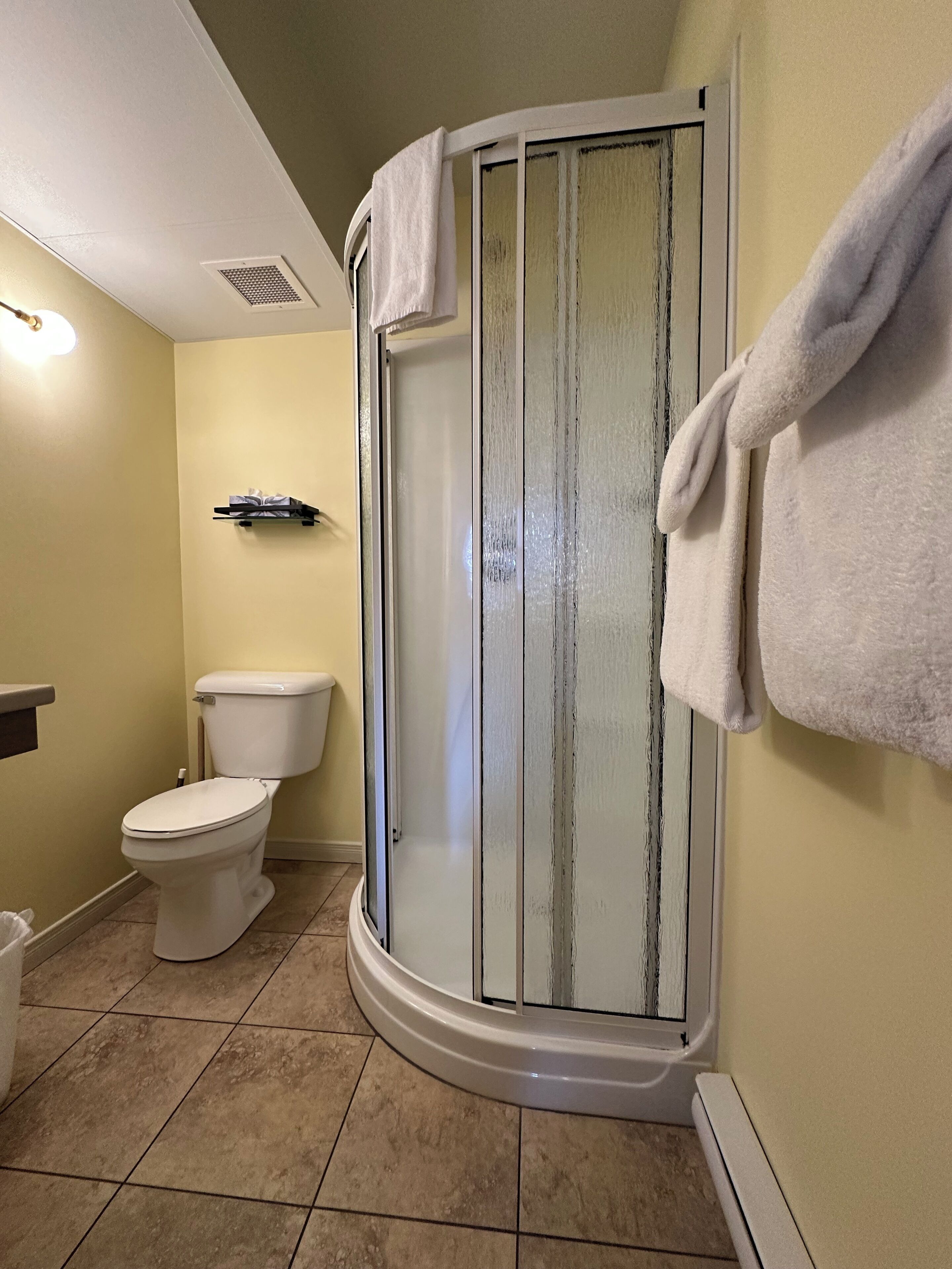 Un baño con ducha, inodoro y un perchero para toallas.