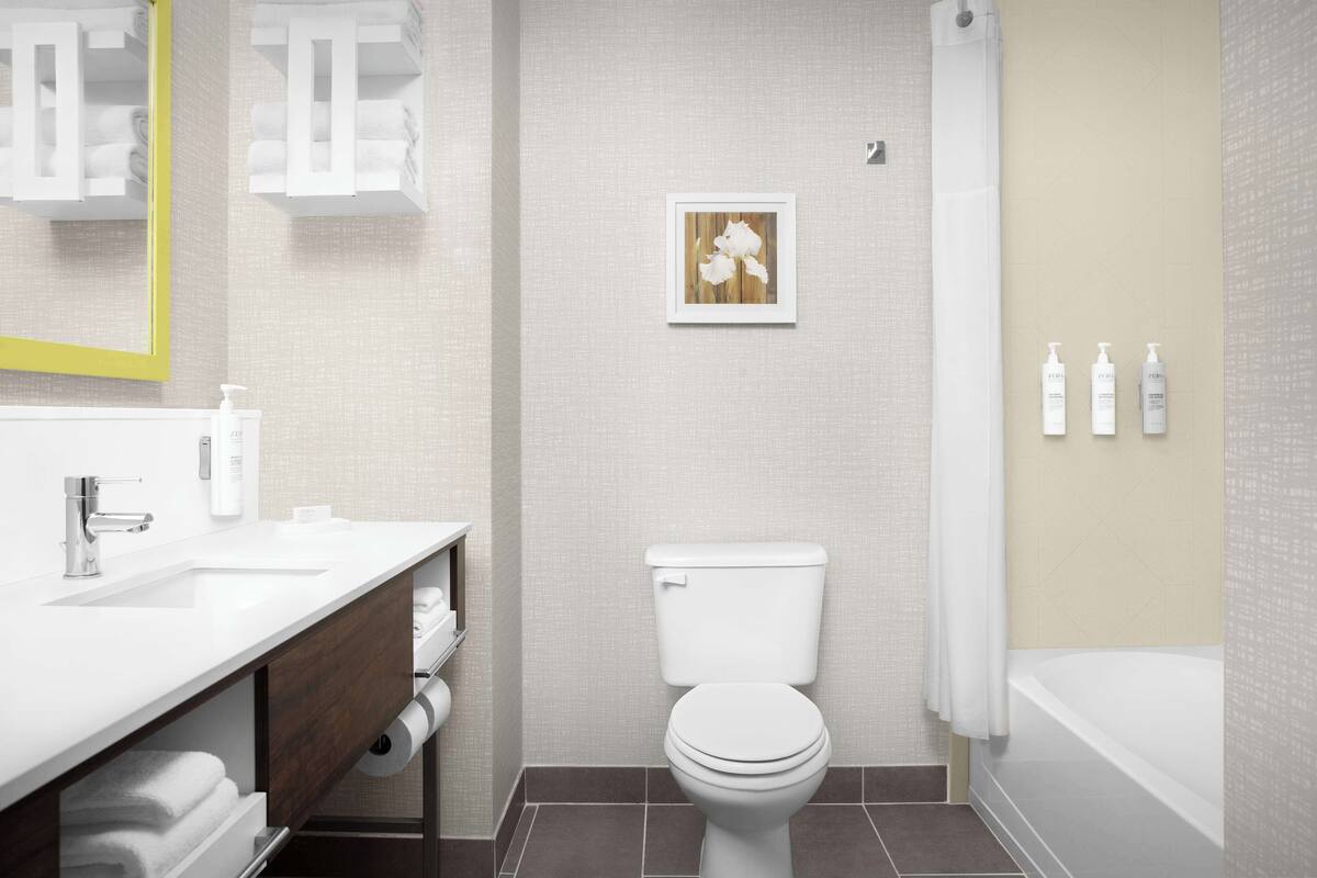 hair dryer, towels, soap, shampoo