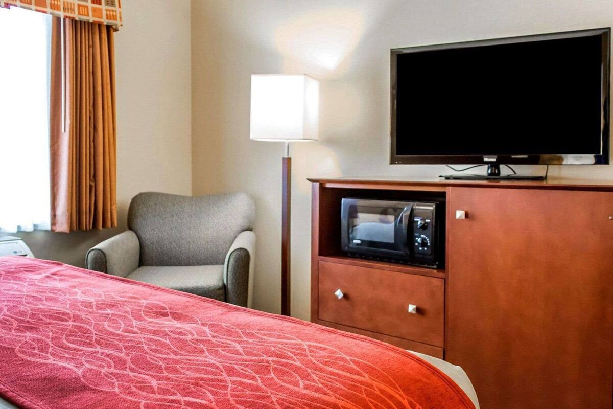 Une chambre d’hôtel avec un lit, un fauteuil gris, une télévision et un four à micro-ondes.