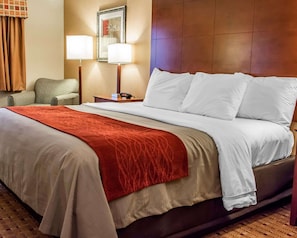 Phòng Suite, 1 giường cỡ king và sofa giường, không hút thuốc | Bàn, bàn ủi/dụng cụ ủi quần áo, truy cập Internet không dây miễn phí 