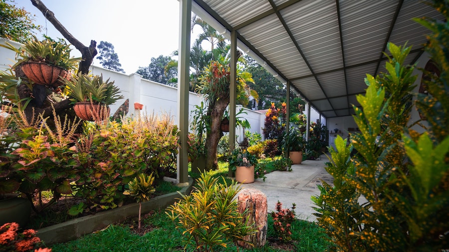 Hotel Greenview Medellin