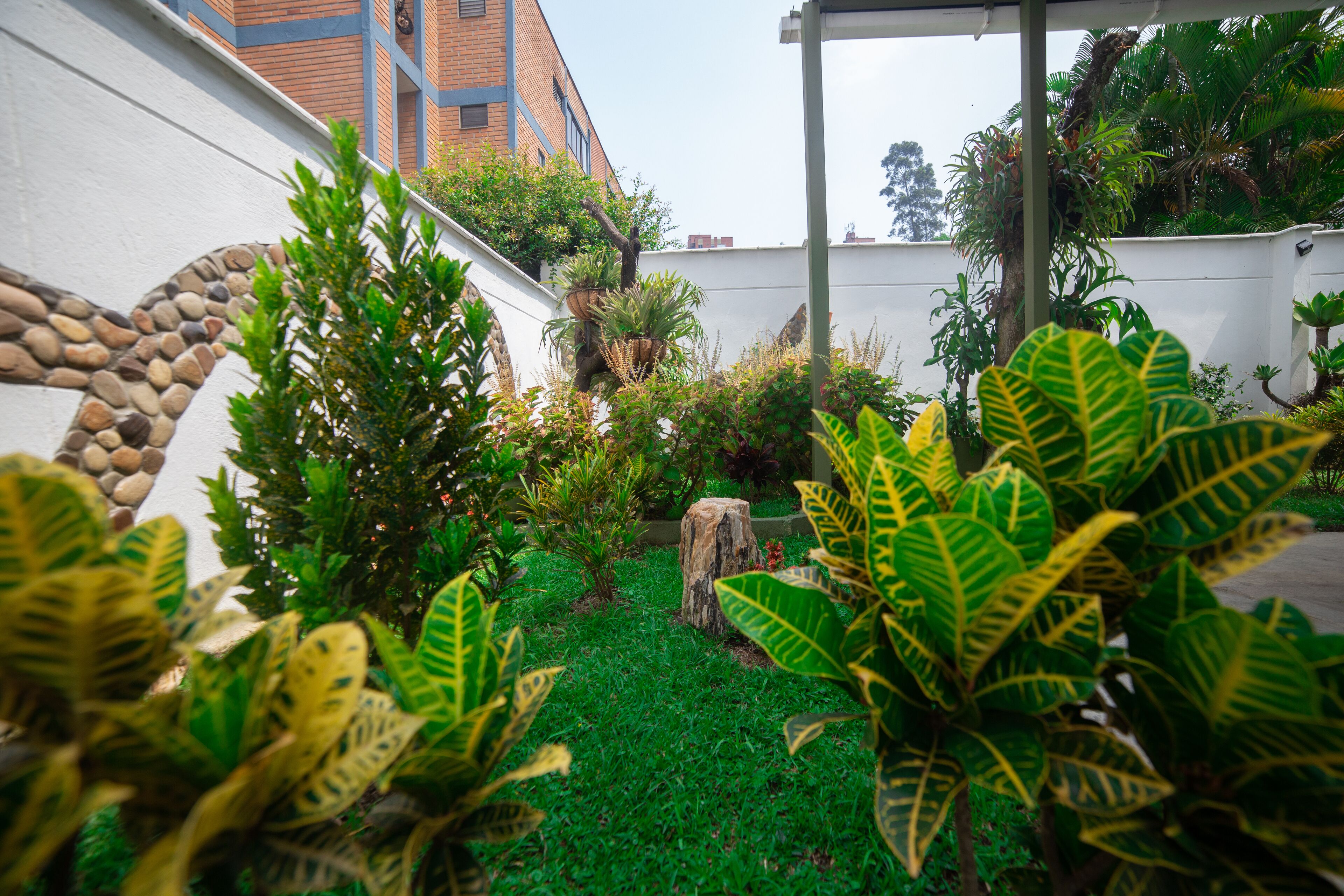 Foto - Greenview Medellin By St Hoteles