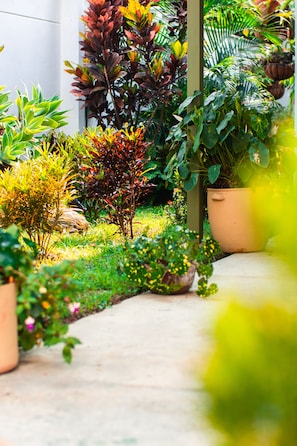 Garden - Hotel Greenview Medellin (Medellín)