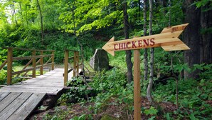 Ein Holzschild mit einem nach rechts zeigenden Pfeil, beschriftet mit 'CHICKENS'.