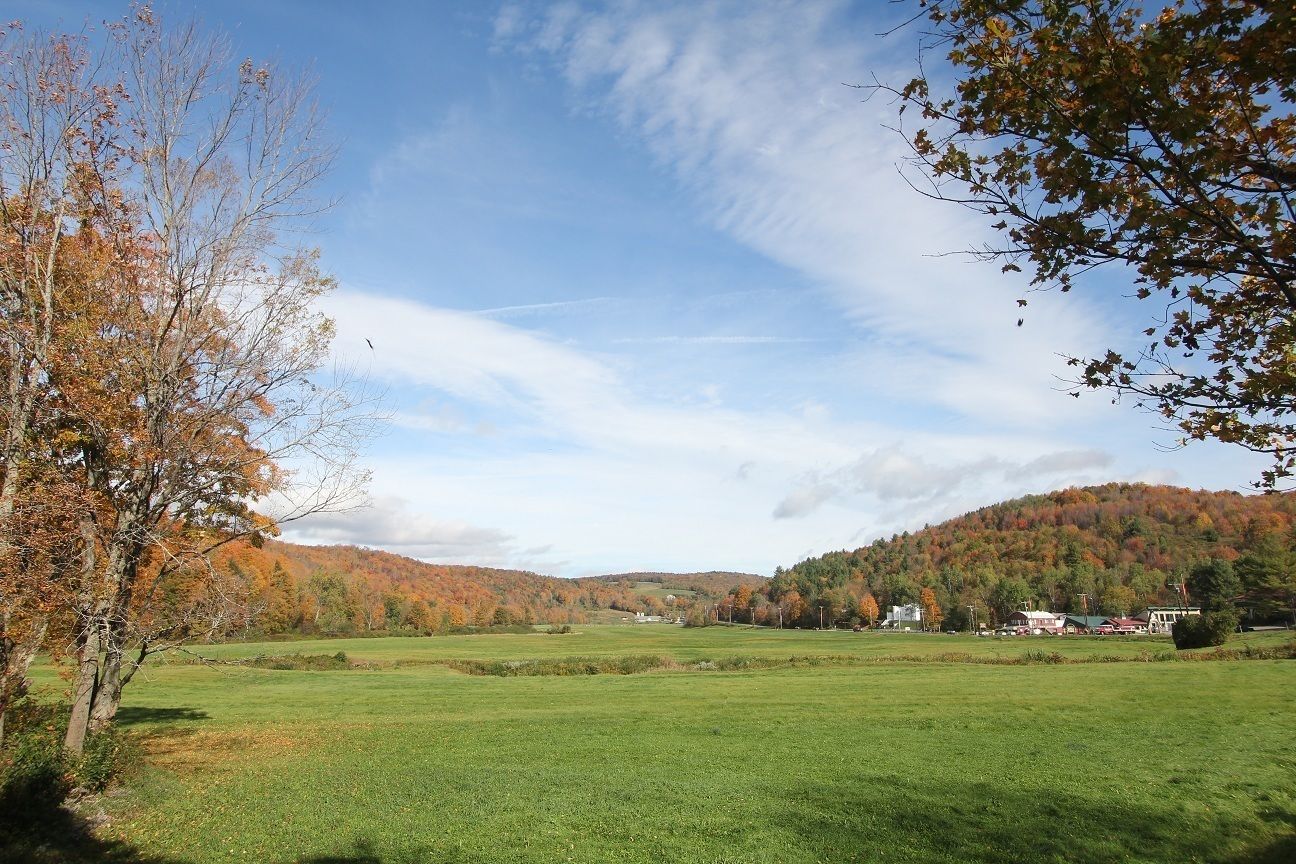 A rural landscape with a green field, trees with autumn leaves, and a hill in the background.