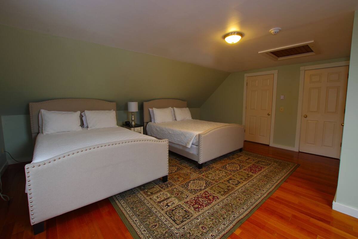 Une chambre avec deux lits, un tapis à motifs et un luminaire au plafond.