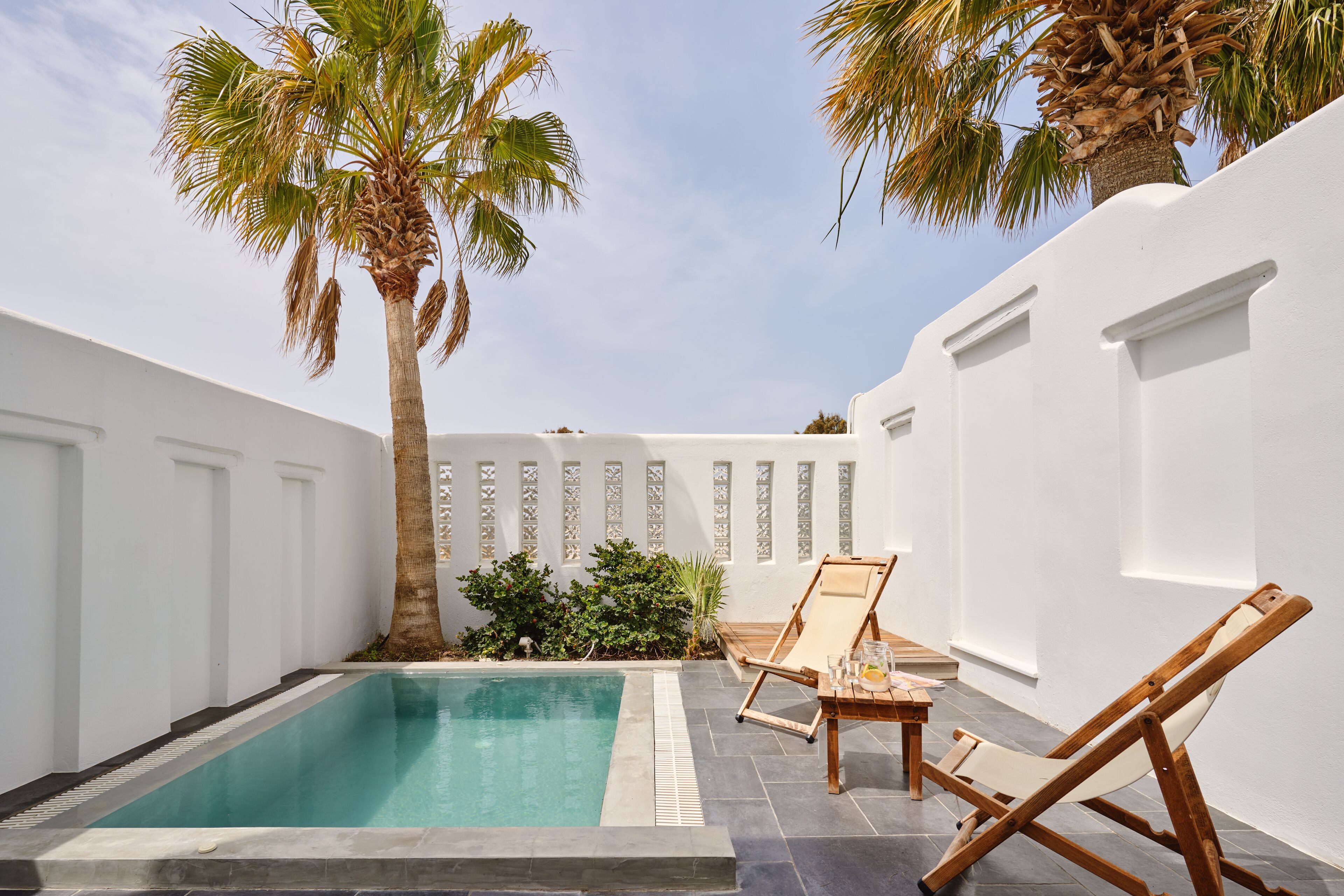 Un espace piscine privé comprenant deux chaises longues, un palmier et un mur blanc agrémenté de panneaux décoratifs.