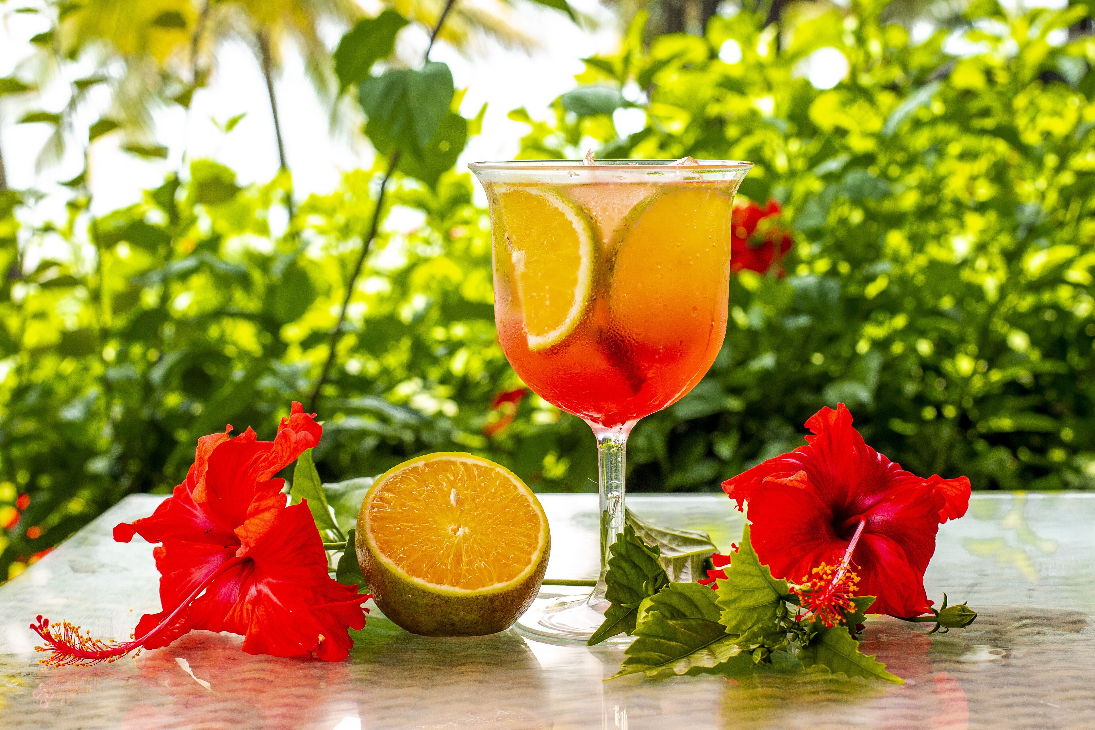 Um copo de vidro transparente com uma bebida vermelha, meia laranja e flores de hibisco vermelho sobre uma mesa com fundo de folhagem verde.