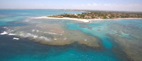 Ubicación a pie de playa, arena blanca, tumbonas y sombrillas