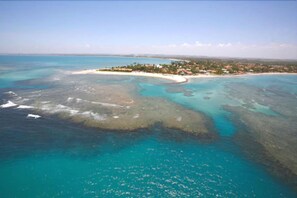 Ubicación a pie de playa, arena blanca, tumbonas y sombrillas