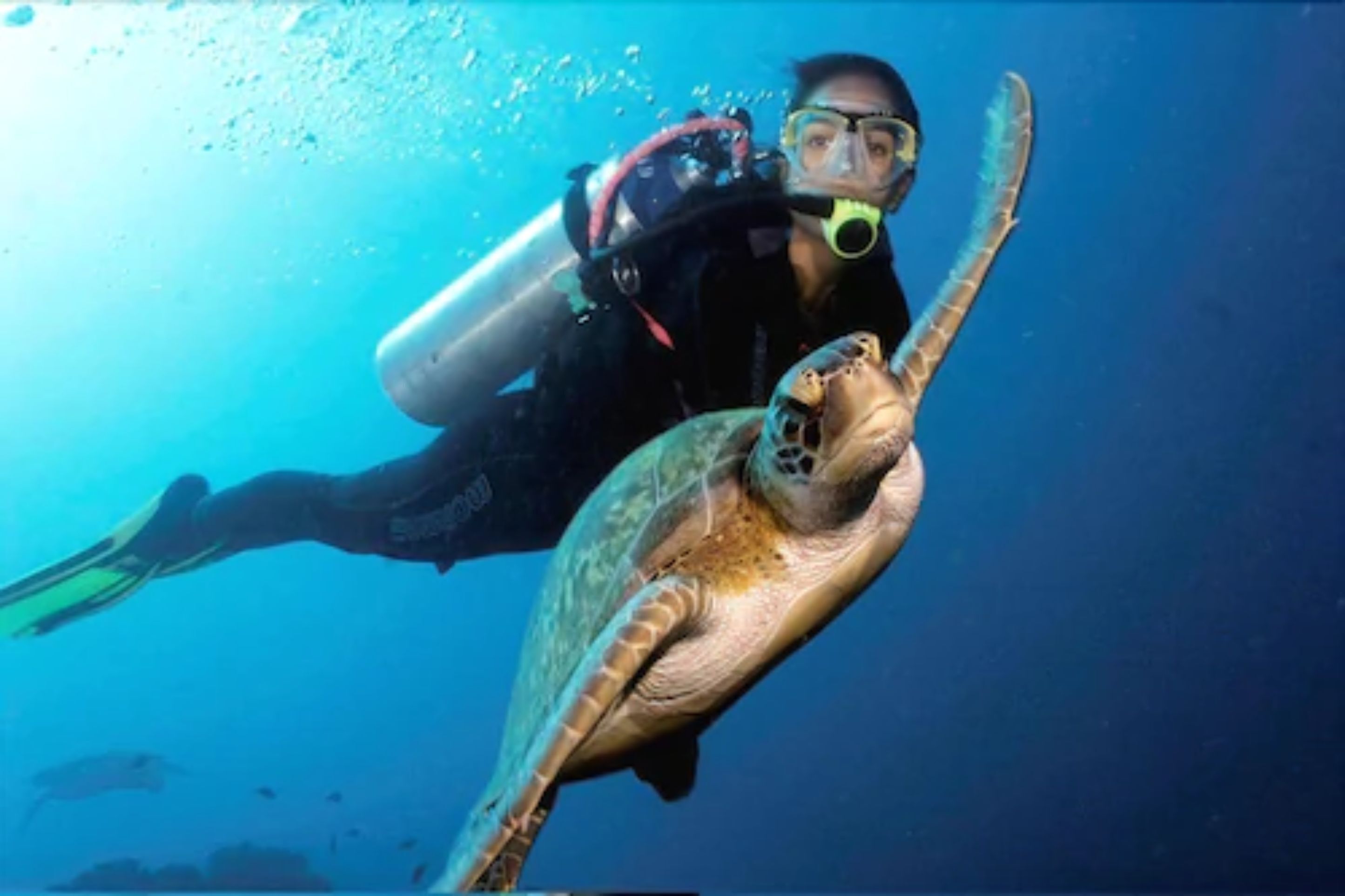 Foto - Serrambi Resort