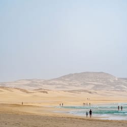 Trên bãi biển, cát trắng, dù trên bãi biển, quán bar trên bãi biển