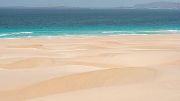 Una playa con dunas de arena y una vista despejada del océano.
