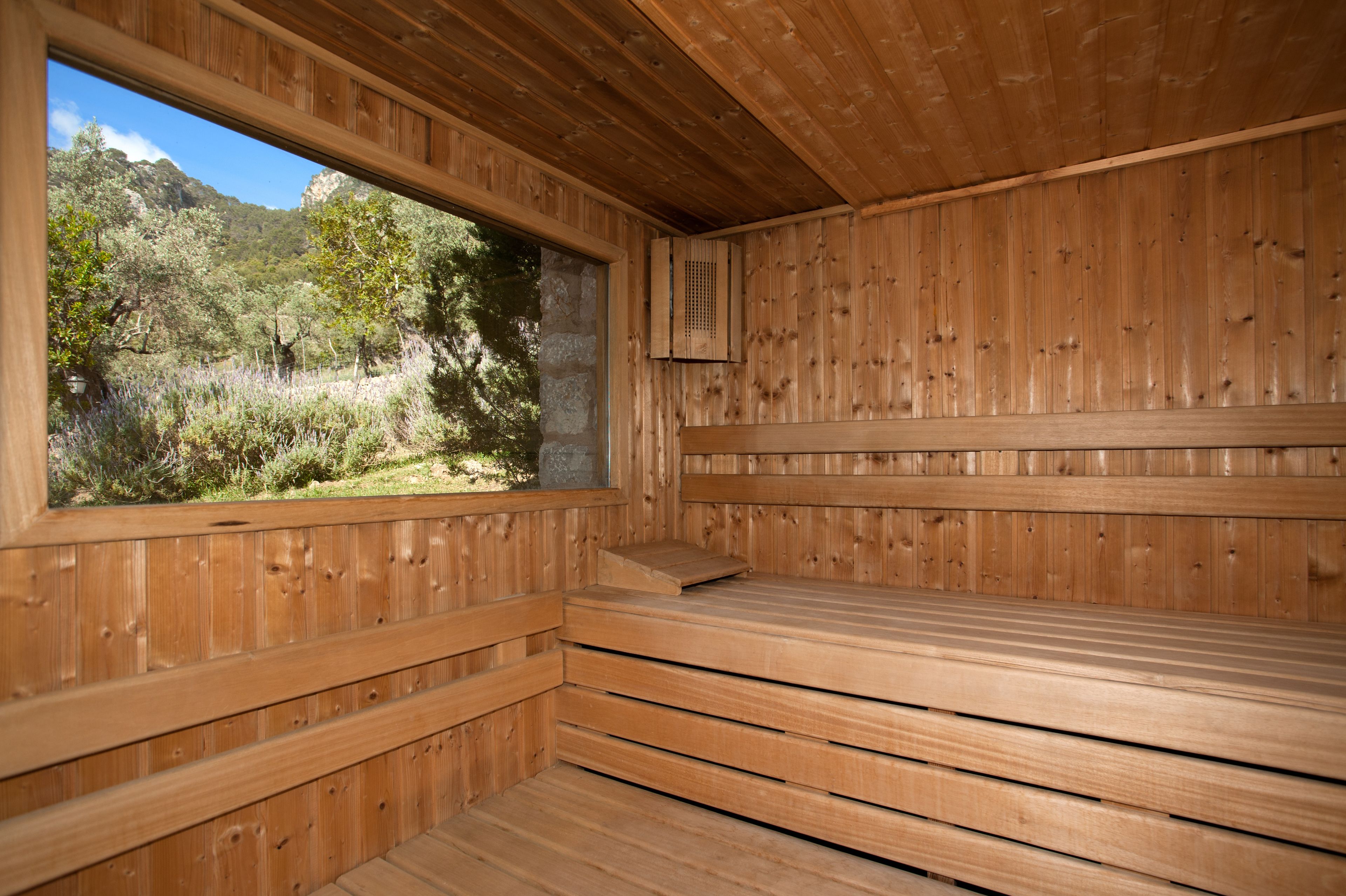 Foto - Finca Albellons