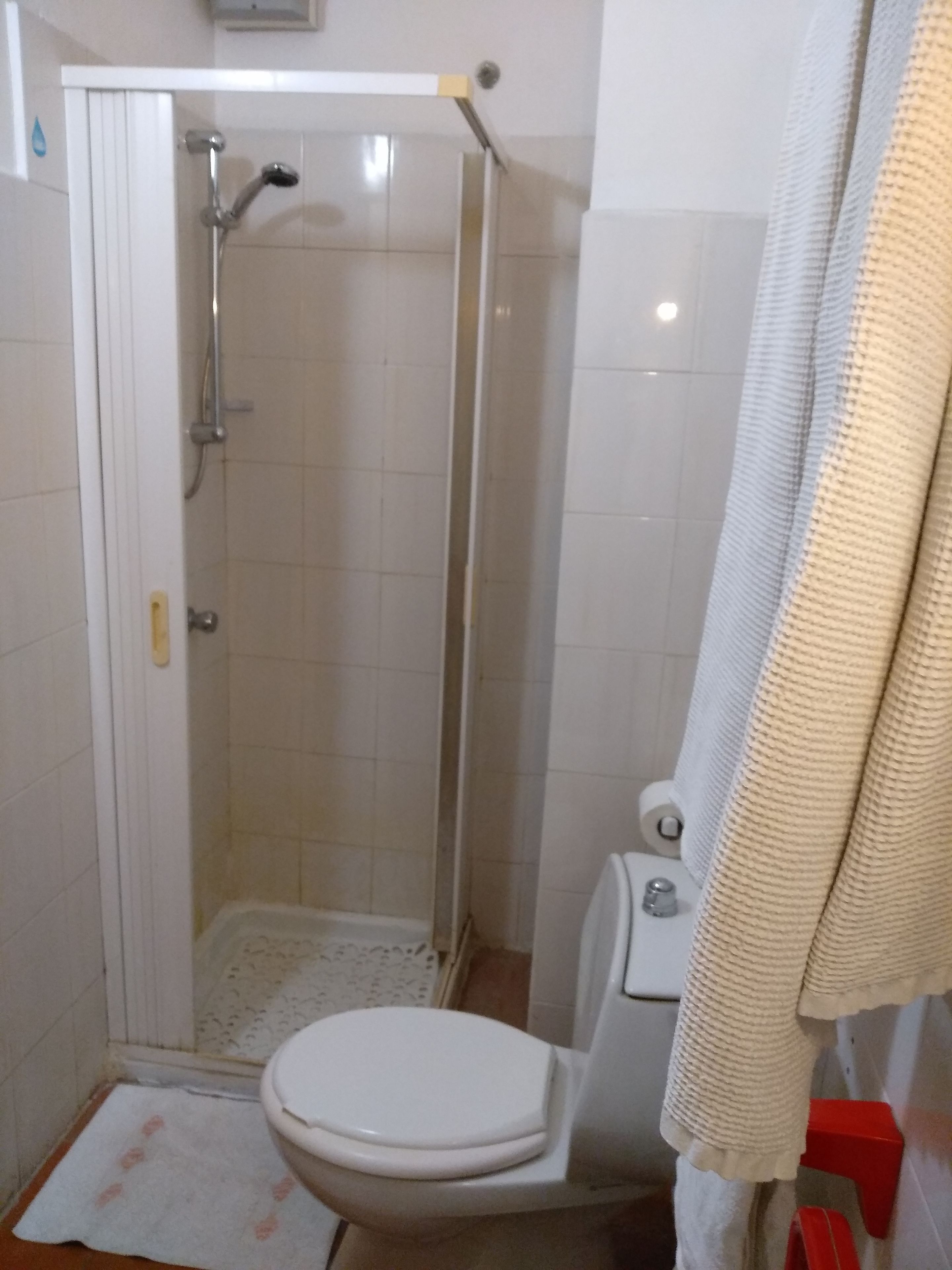 Ein Badezimmer mit Dusche, Toilette und Handtuchhalter.