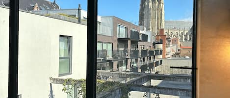 Vista desde la propiedad