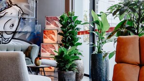 A modern interior with a sofa, armchairs, and potted plants. - Hotel Vé (Mechelen)