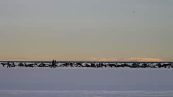 A snowy landscape with a frozen body of water, a rocky shoreline, and a distant mountain range.
