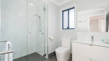 A modern bathroom with a glass shower enclosure, a toilet, and a vanity with a mirror.