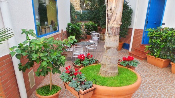 A courtyard with potted plants, a tree, and outdoor furniture. - Al Baglio - Affittacamere (Palermo)