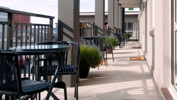 A covered outdoor seating area with tables and chairs, potted plants, and a doormat. - Dunedin Palms Motel (Dunedin)