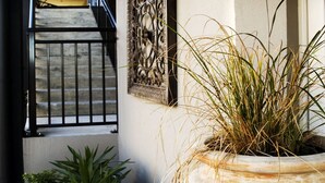 A potted plant next to a staircase and a wall-mounted artwork. - Dunedin Palms Motel (Dunedin)