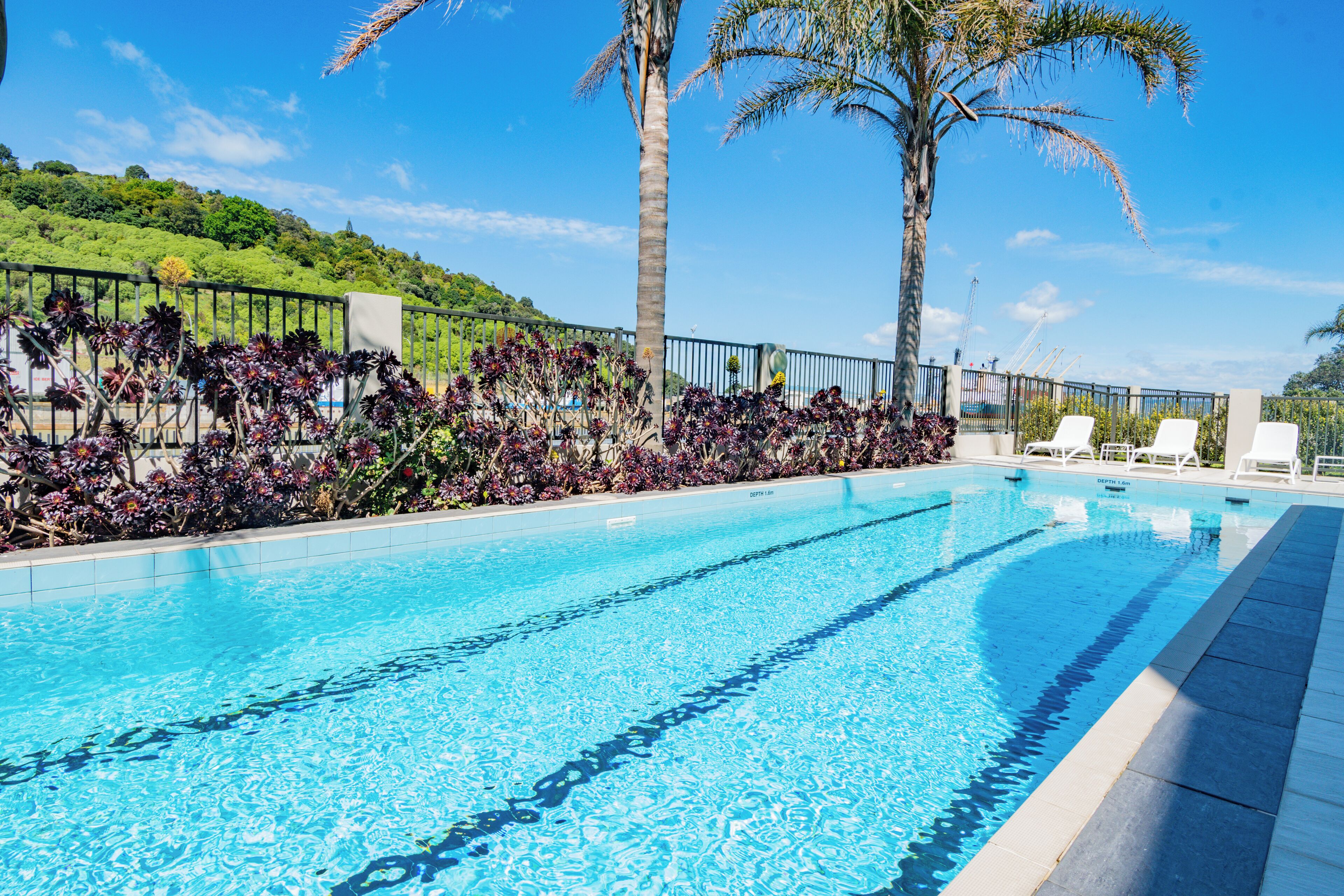 A swimming pool with clear blue water, surrounded by a black fence, palm trees, and a hillside with greenery.