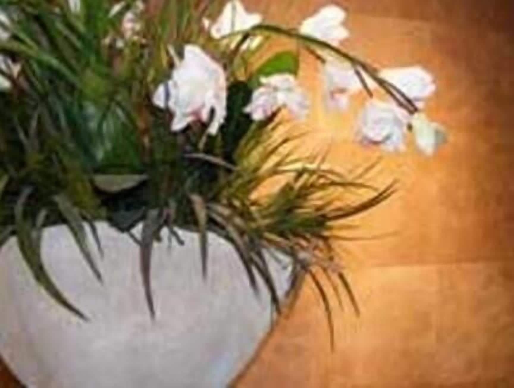 A heart-shaped white pot with a floral arrangement including white flowers and green foliage.