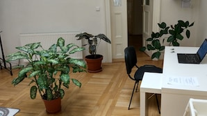 A room with a wooden floor, a white desk with a laptop, two potted plants, and a chair.
