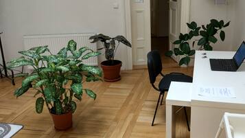 Superior Apartment, 3 Bedrooms, City View | In-room business center