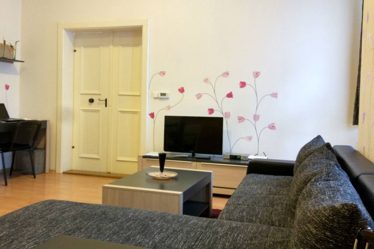 Un salon avec un canapé, une table basse, un téléviseur, un ordinateur portable sur un bureau et une porte.