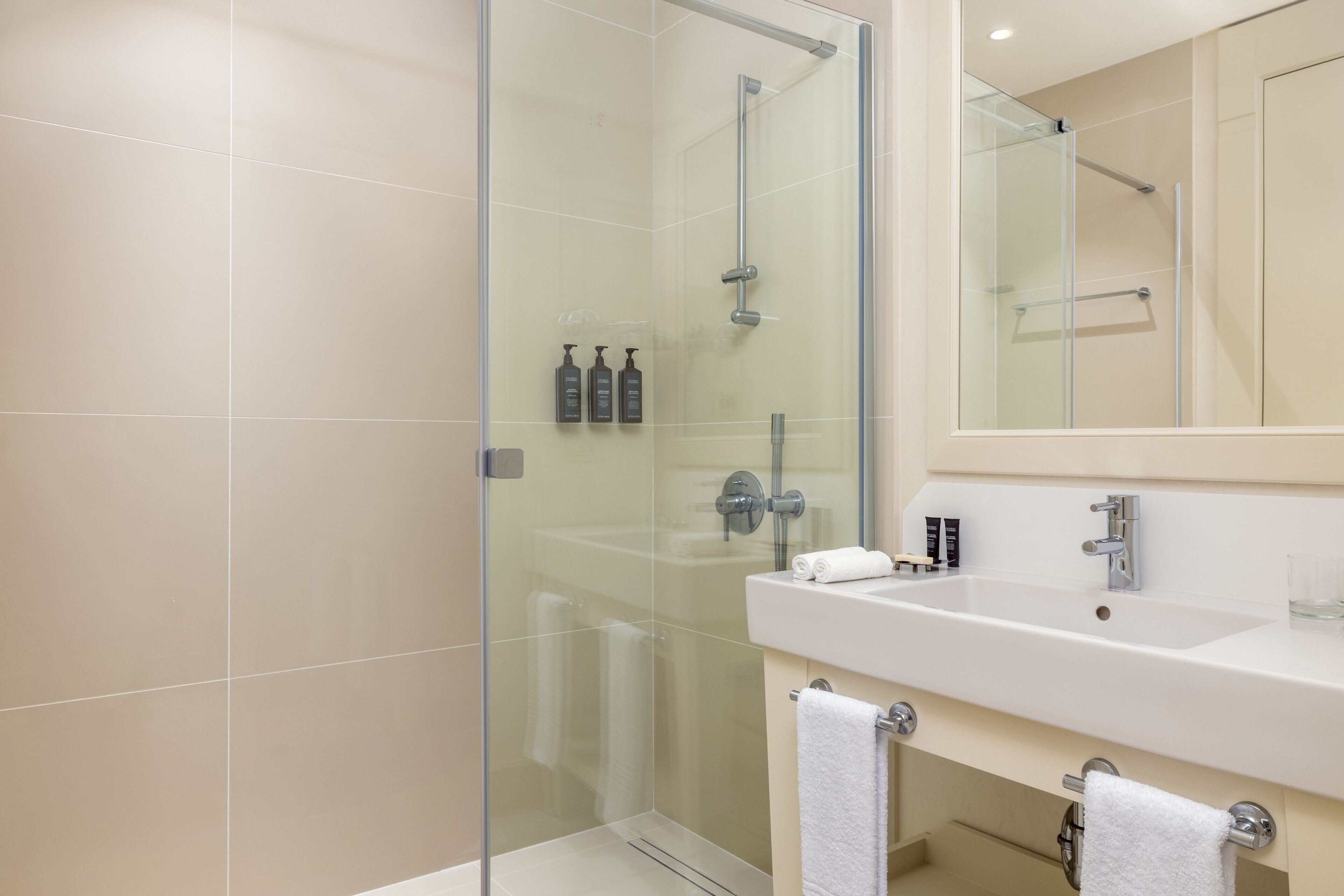 A modern bathroom with a glass shower enclosure, a white sink, and a large mirror.