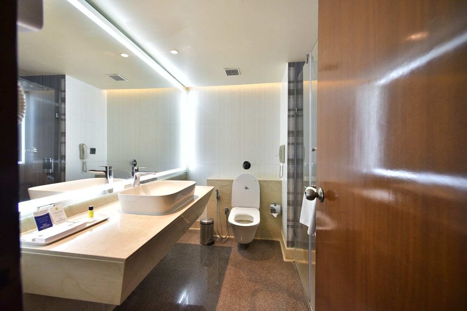A modern bathroom with a large sink, a toilet, and a shower.
