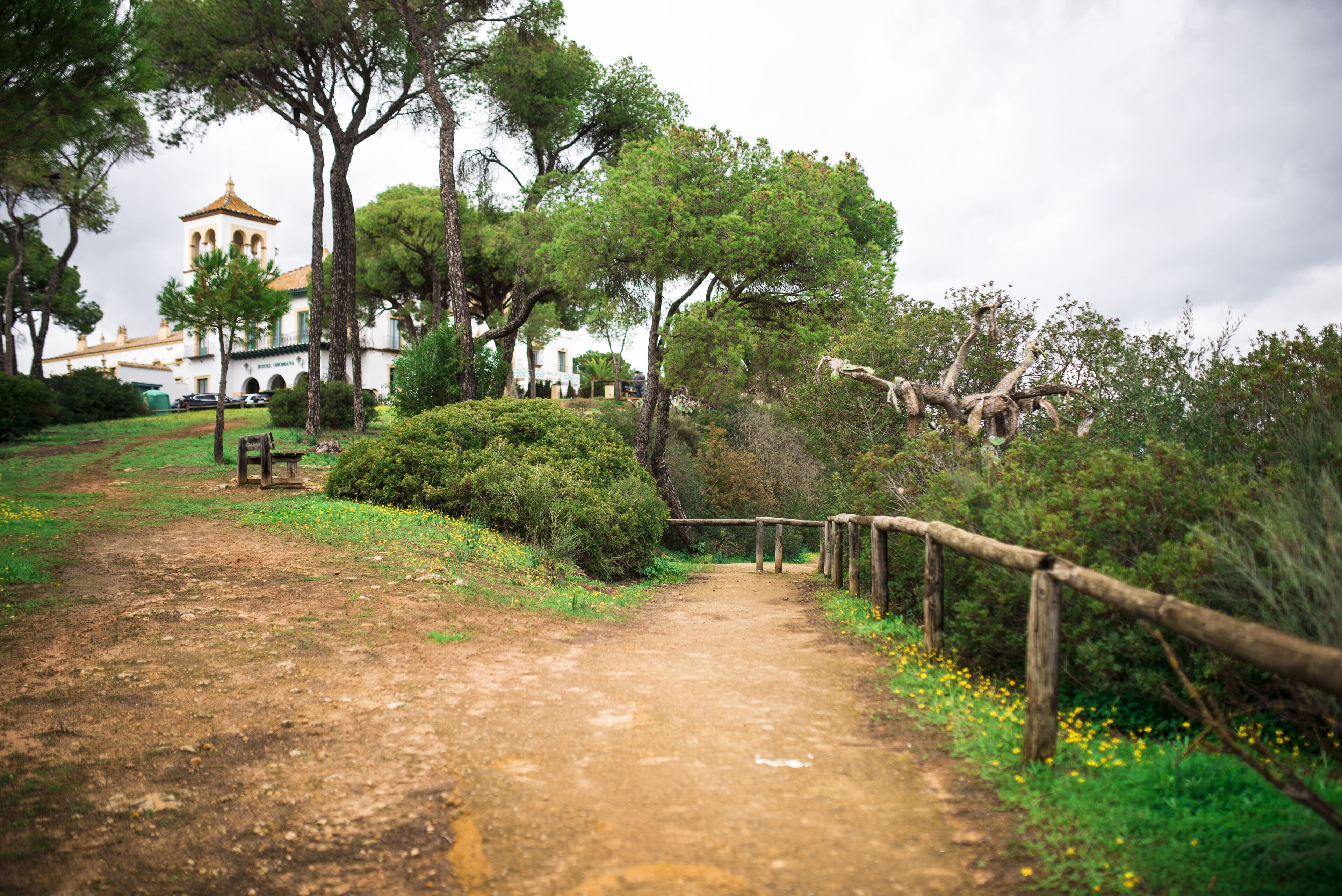 Photo - Hotel Oromana