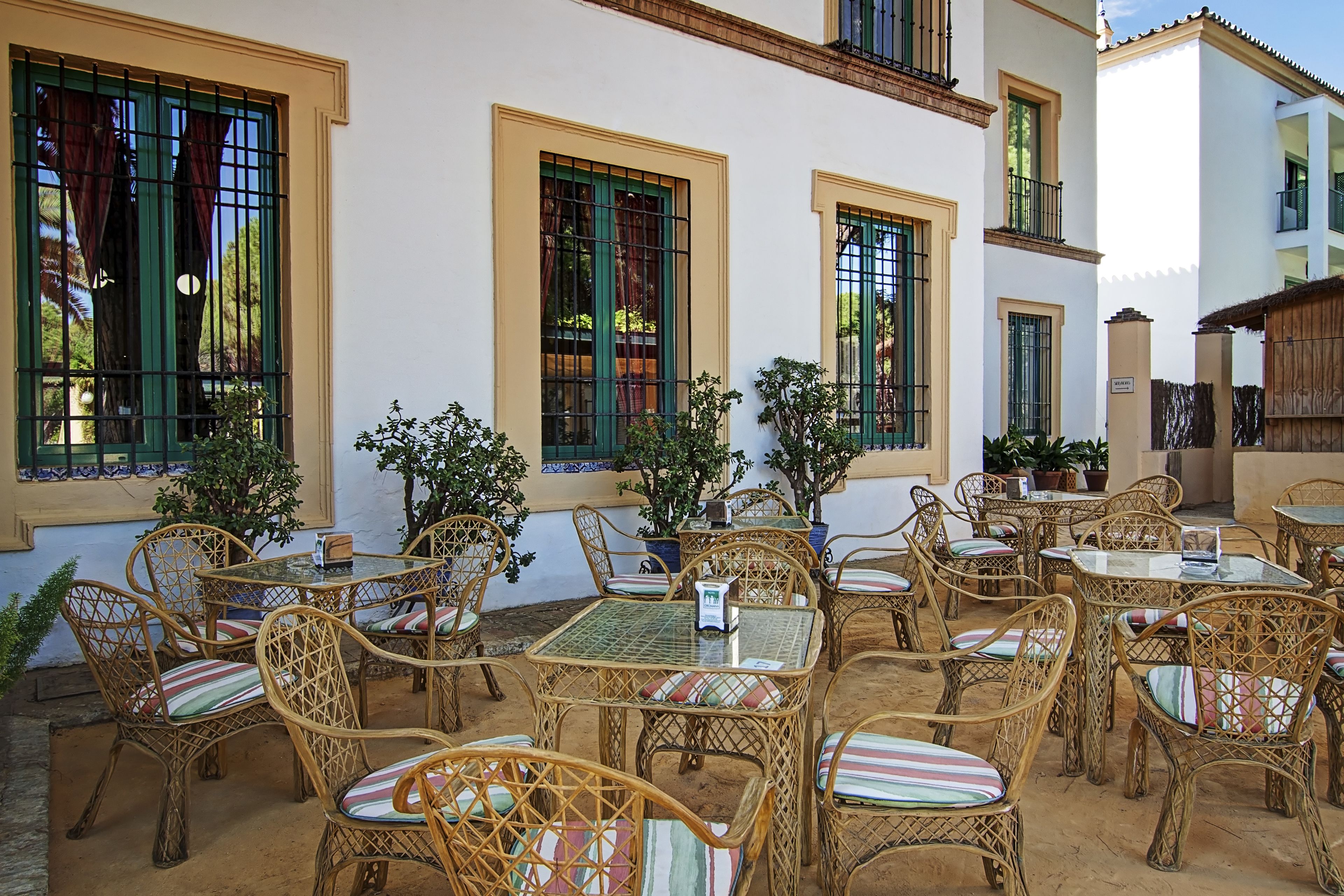 An outdoor patio with wicker furniture and potted plants.