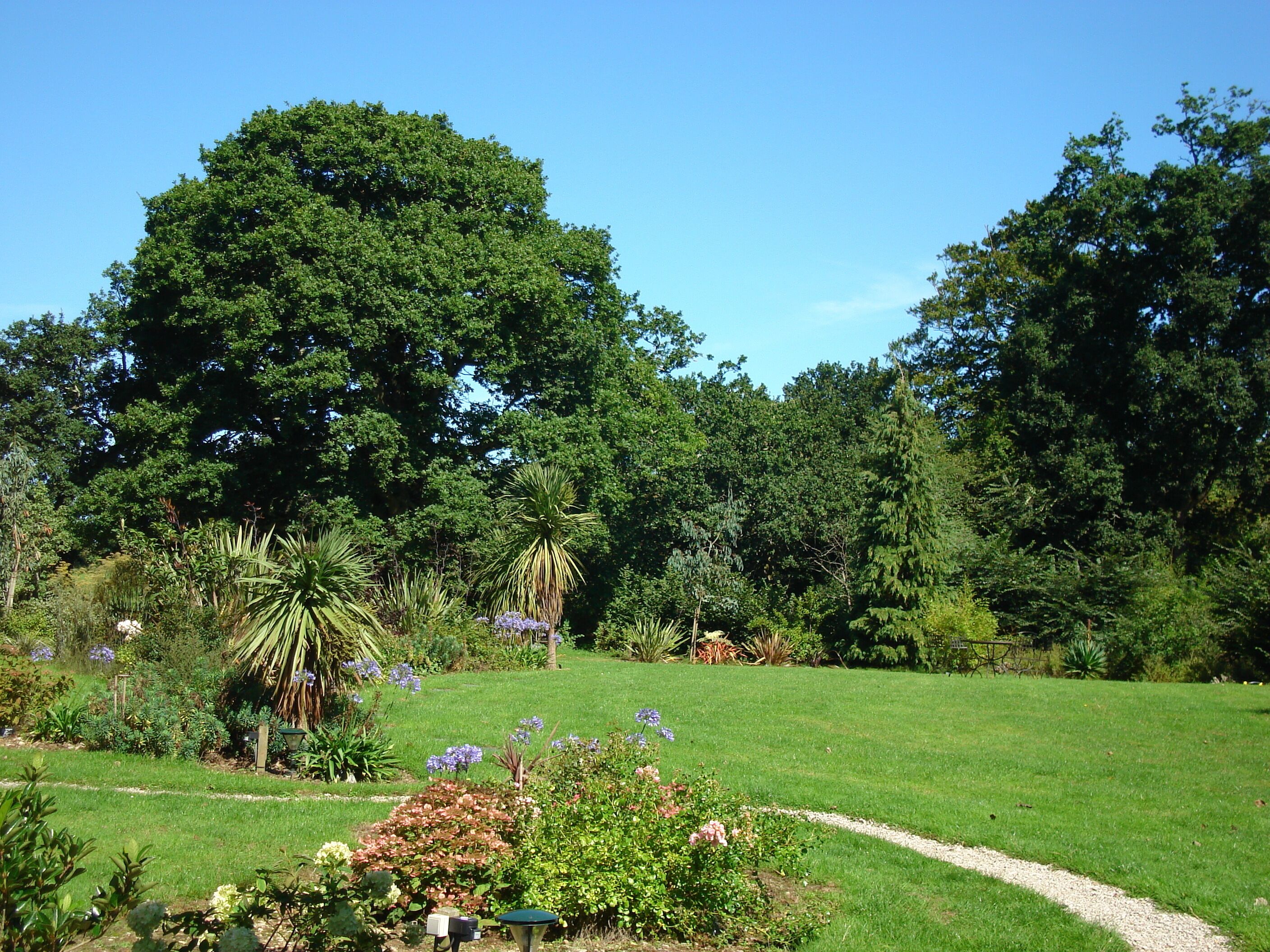 A well-maintained garden with a variety of plants and trees, a clear path, and a bench.