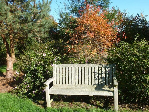 Un banco de madera en un parque con árboles y arbustos al fondo.